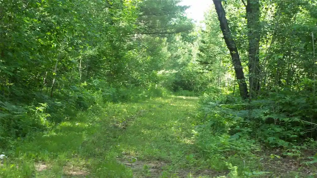 36th image of Xxx Bashaw Store Rd, Shell Lake, WI 54871 | MLS# 1603494