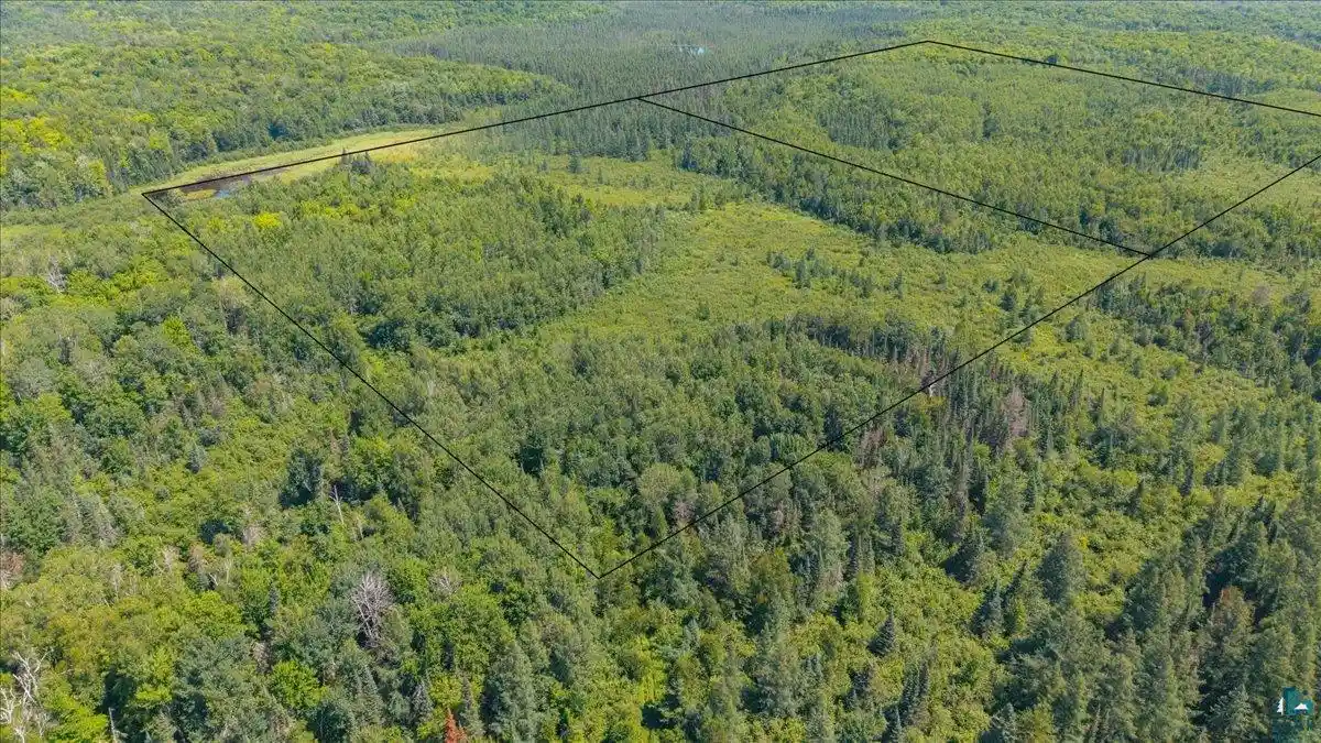 Photo 3 of Land for sale at 10762 S State Hwy 35, Foxboro, WI 54836 | MLS# 6126913 | Listing updated on 2026-07-27