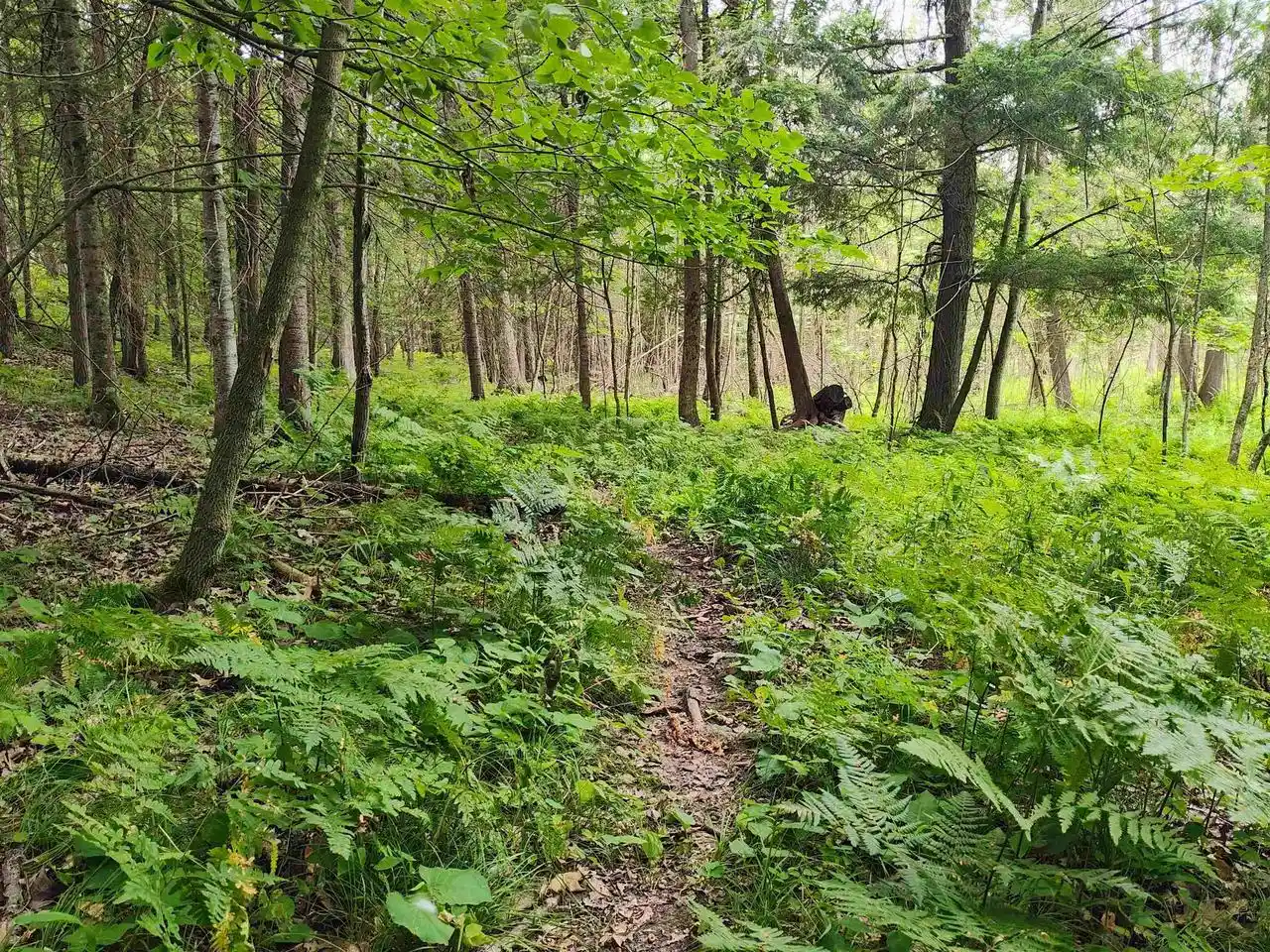 2nd image of W10276 W 6th Road Road, Pound, WI 54161 | MLS# 2028697
