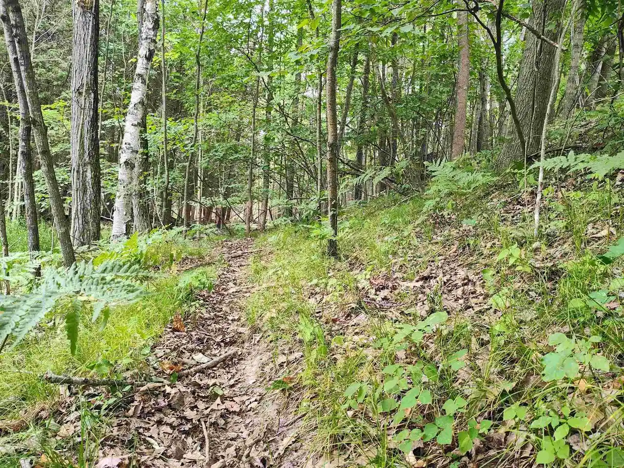 3rd image of W10276 W 6Th Road Road, Pound, WI 54161 | MLS# 2028697