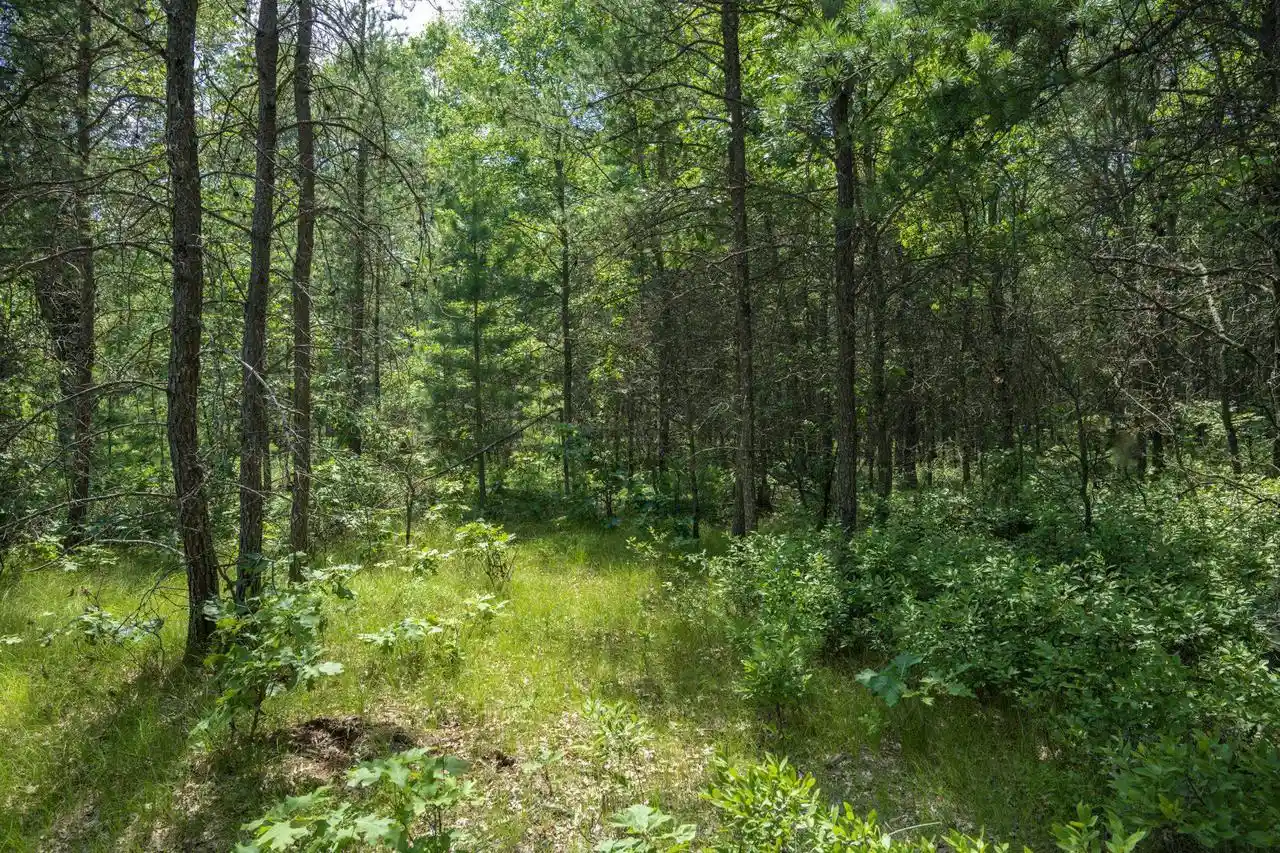1st image of Lot 5 17th Street Street, Necedah, WI 54646 | MLS# 2028736