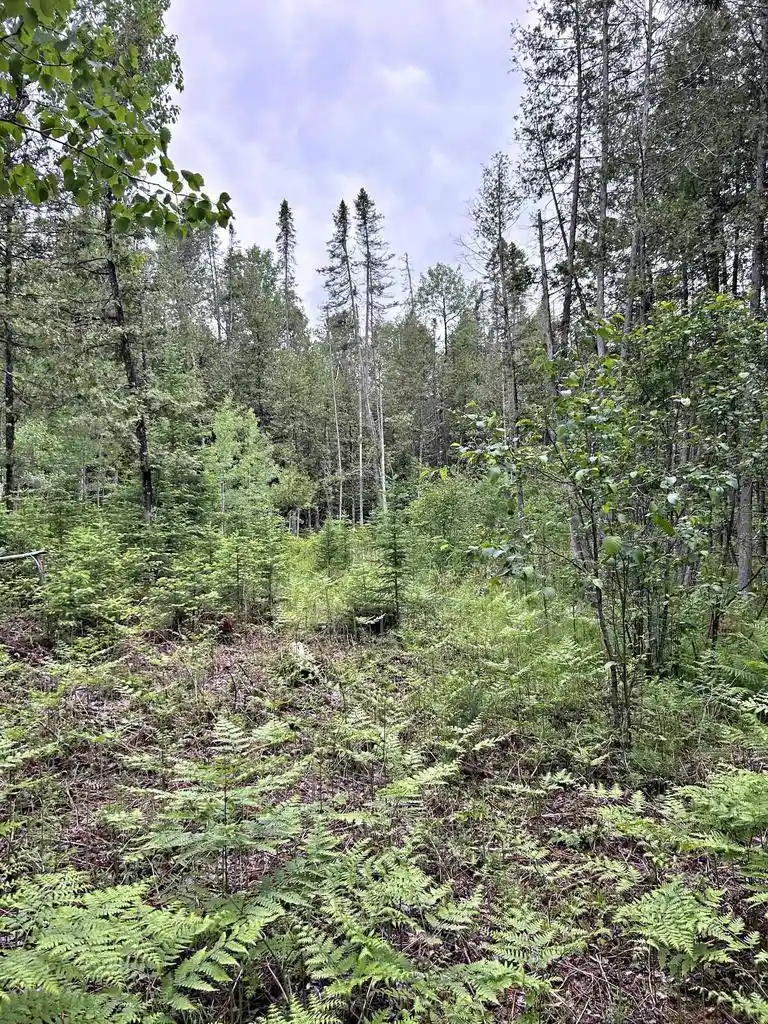 2nd image of Chapman Road Road, Niagara, WI 54151 | MLS# 50329672