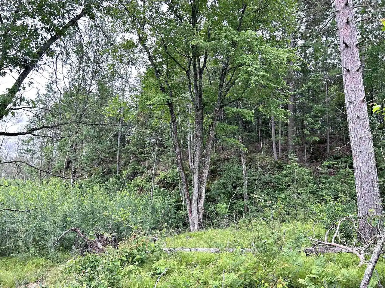 3rd image of Chapman Road Road, Niagara, WI 54151 | MLS# 50329672