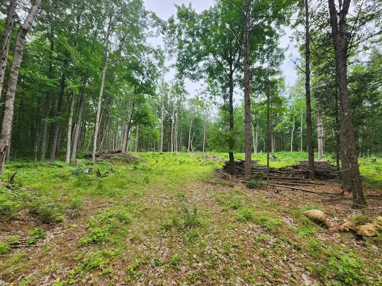 3rd image of N11866 Menominee Shores Dr Dr, Wausaukee, WI 54177 | MLS# 50329688