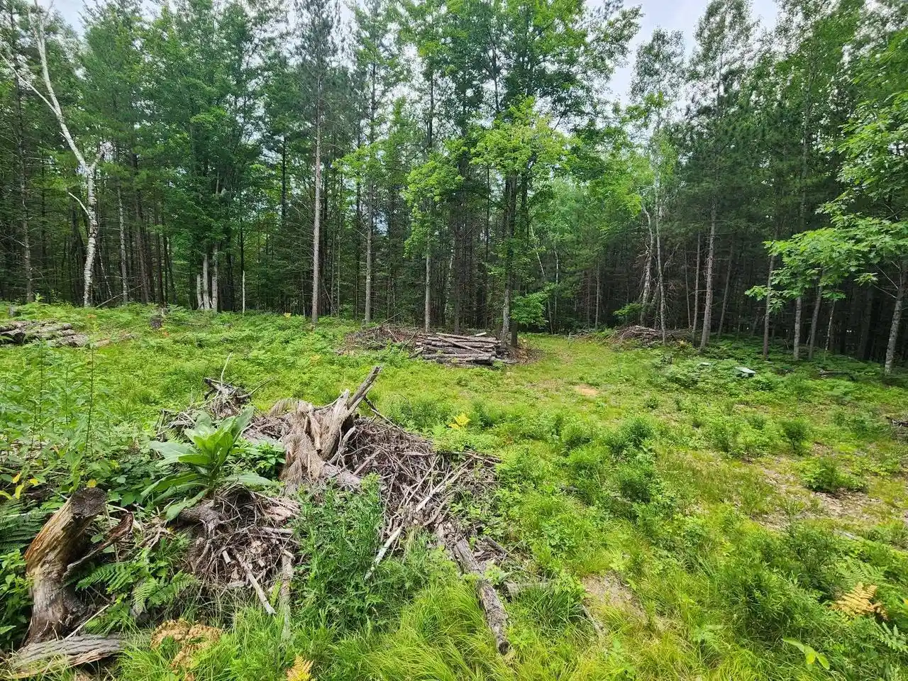 4th image of N11866 Menominee Shores Dr Dr, Wausaukee, WI 54177 | MLS# 50329688