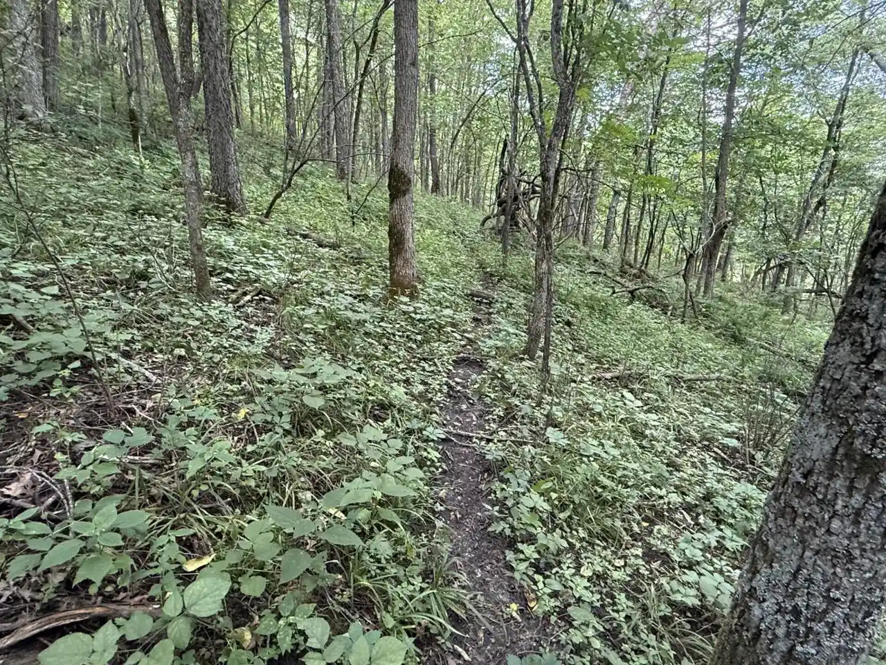 2nd image of E3835 Bad Axe Road Road, Viroqua, WI 54665 | MLS# 1973058
