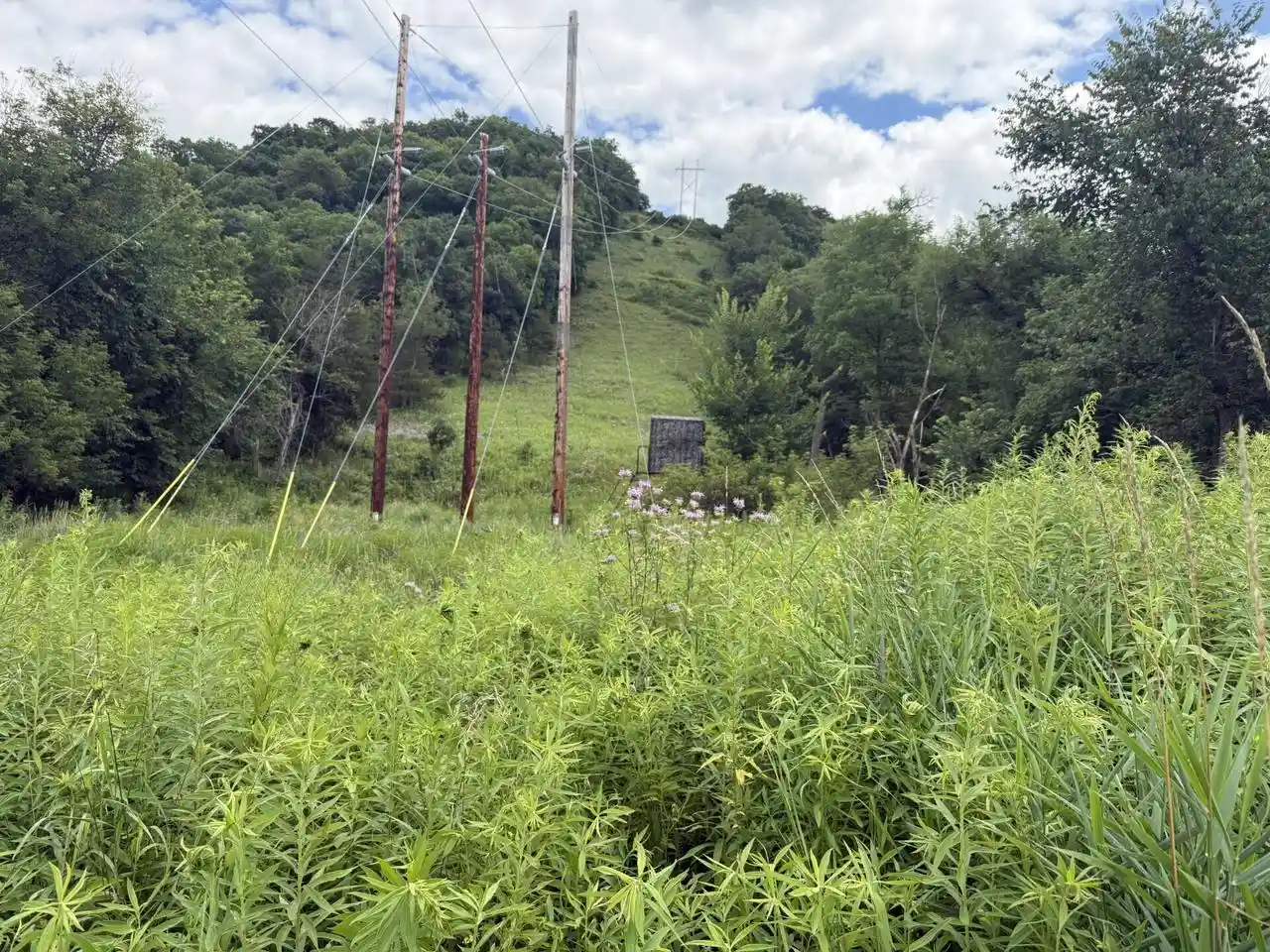 4th image of E3835 Bad Axe Road Road, Viroqua, WI 54665 | MLS# 1973058