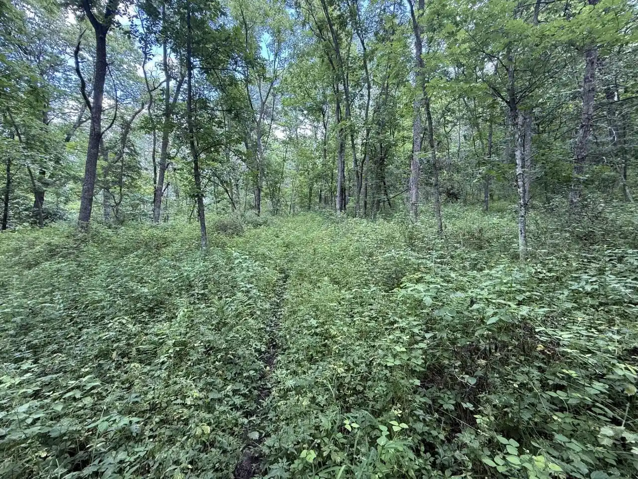 5th image of E3835 Bad Axe Road Road, Viroqua, WI 54665 | MLS# 1973058