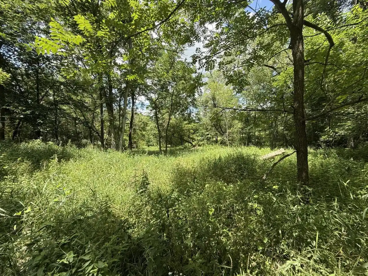 13th image of E3835 Bad Axe Road Road, Viroqua, WI 54665 | MLS# 1973058