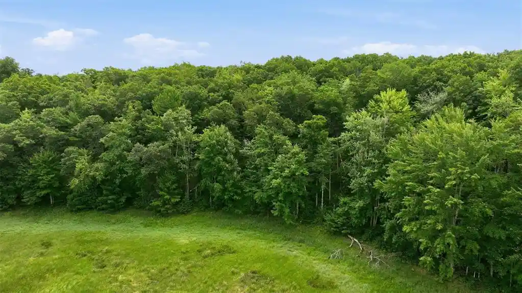3rd image of 0 Goose Lake, Spooner, WI 54801 | MLS# 1603400