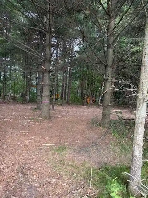 4th image of Lot 1 24 3/4 Street Street, Chetek, WI 54728 | MLS# 1603320
