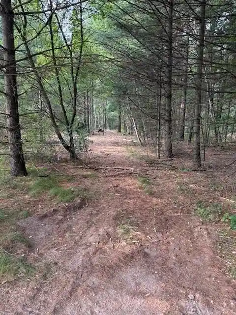 1st image of Lot 2 24 3/4 Street Street, Chetek, WI 54728 | MLS# 1603322