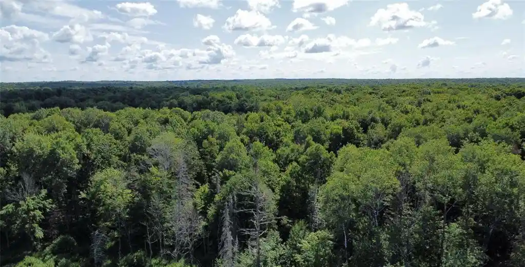 1st image of W10816 Bergman Rd, Merrill, WI 54452 | MLS# 1603520