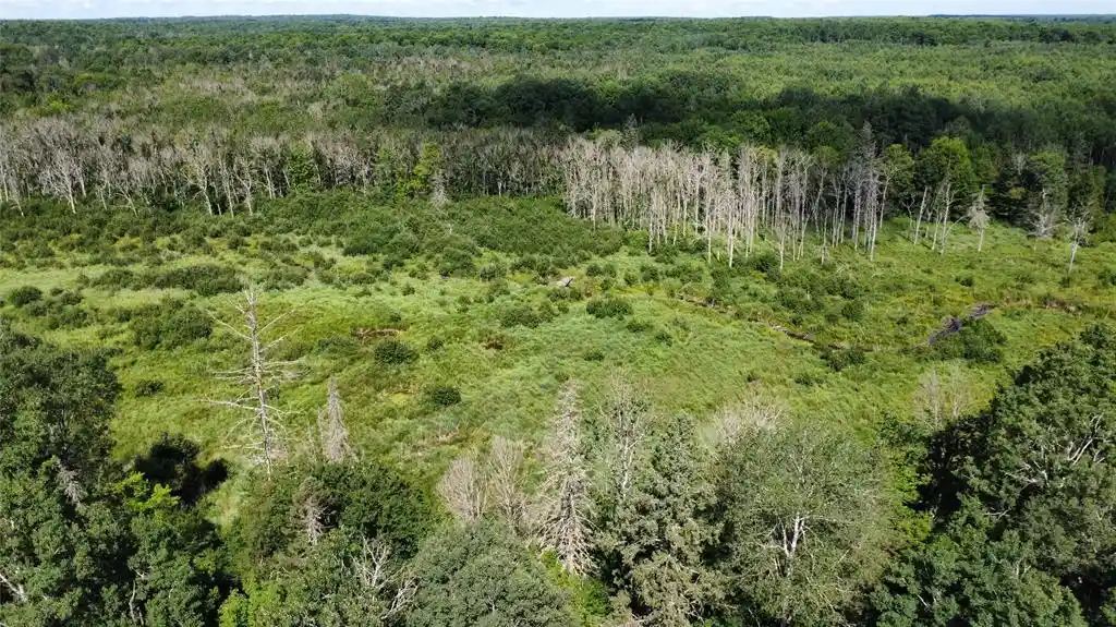 2nd image of W10816 Bergman Rd, Merrill, WI 54452 | MLS# 1603520