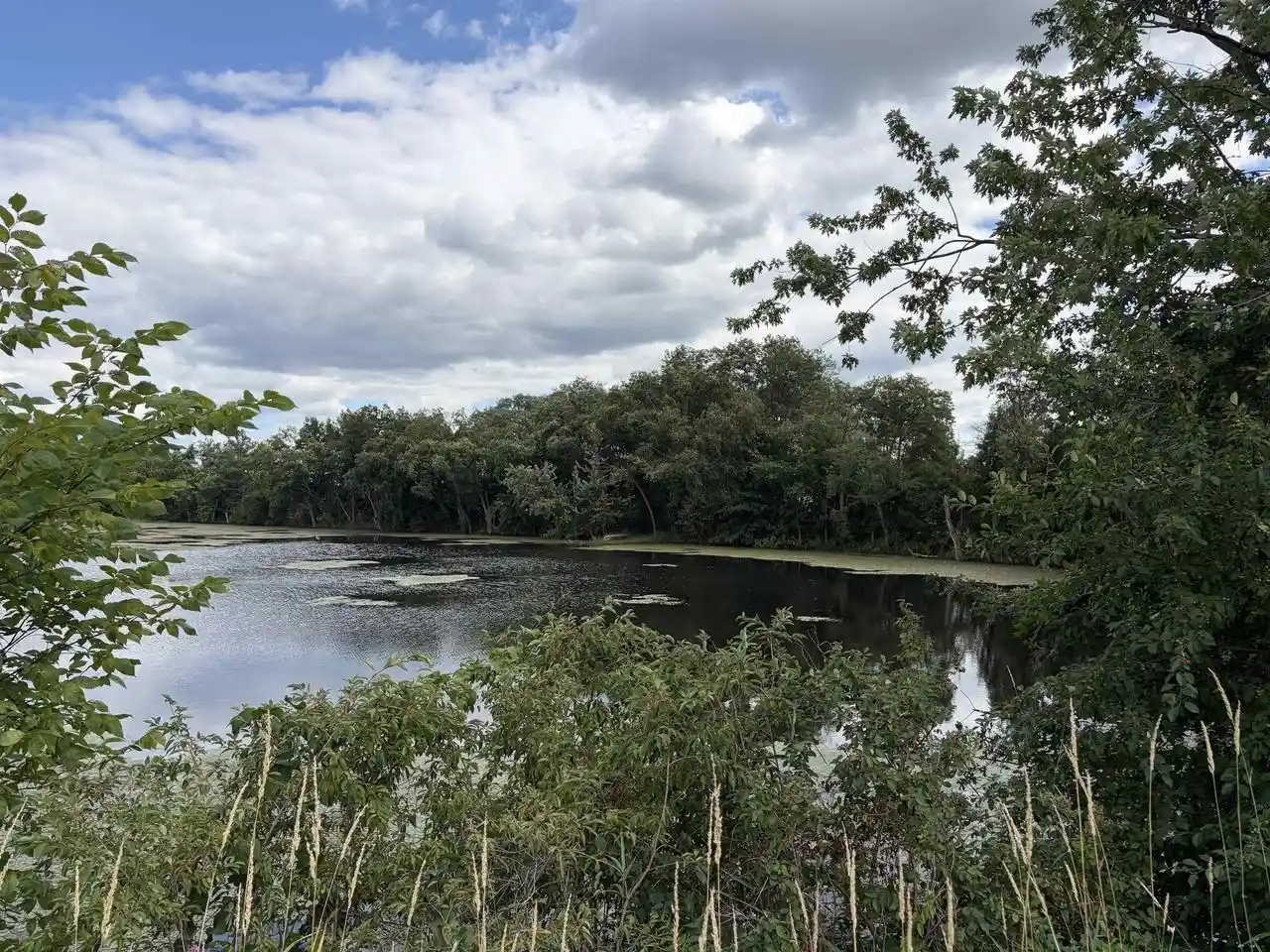 1st image of 201 Acres Hog Island Road Road, New Lisbon, WI 53950 | MLS# 2028801