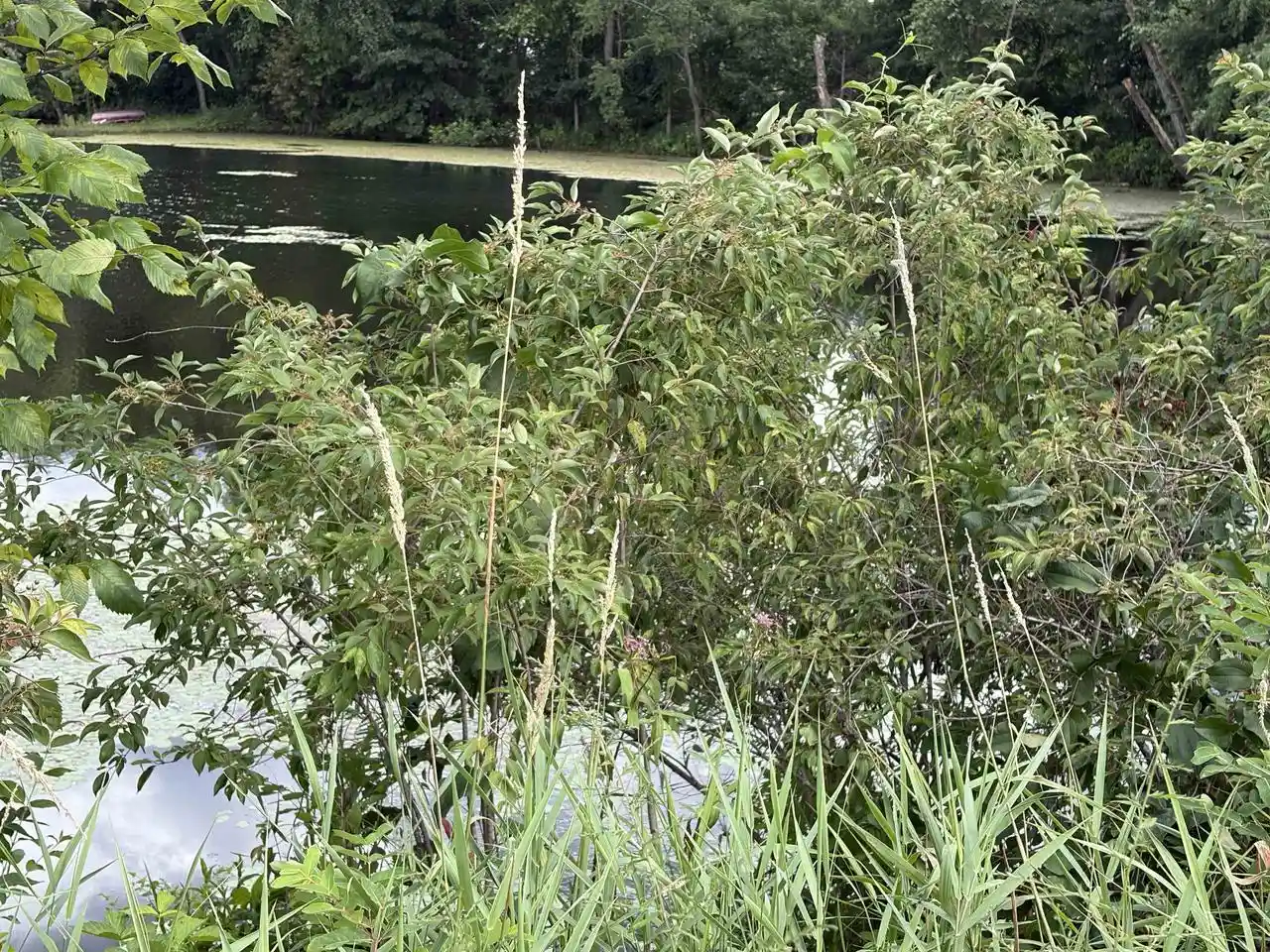 2nd image of 201 Acres Hog Island Road Road, New Lisbon, WI 53950 | MLS# 2028801