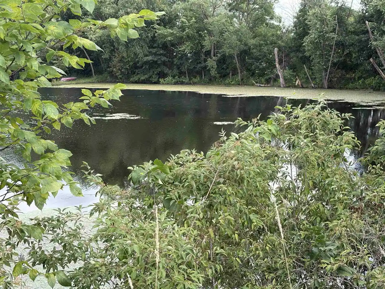 3rd image of 201 Acres Hog Island Road Road, New Lisbon, WI 53950 | MLS# 2028801