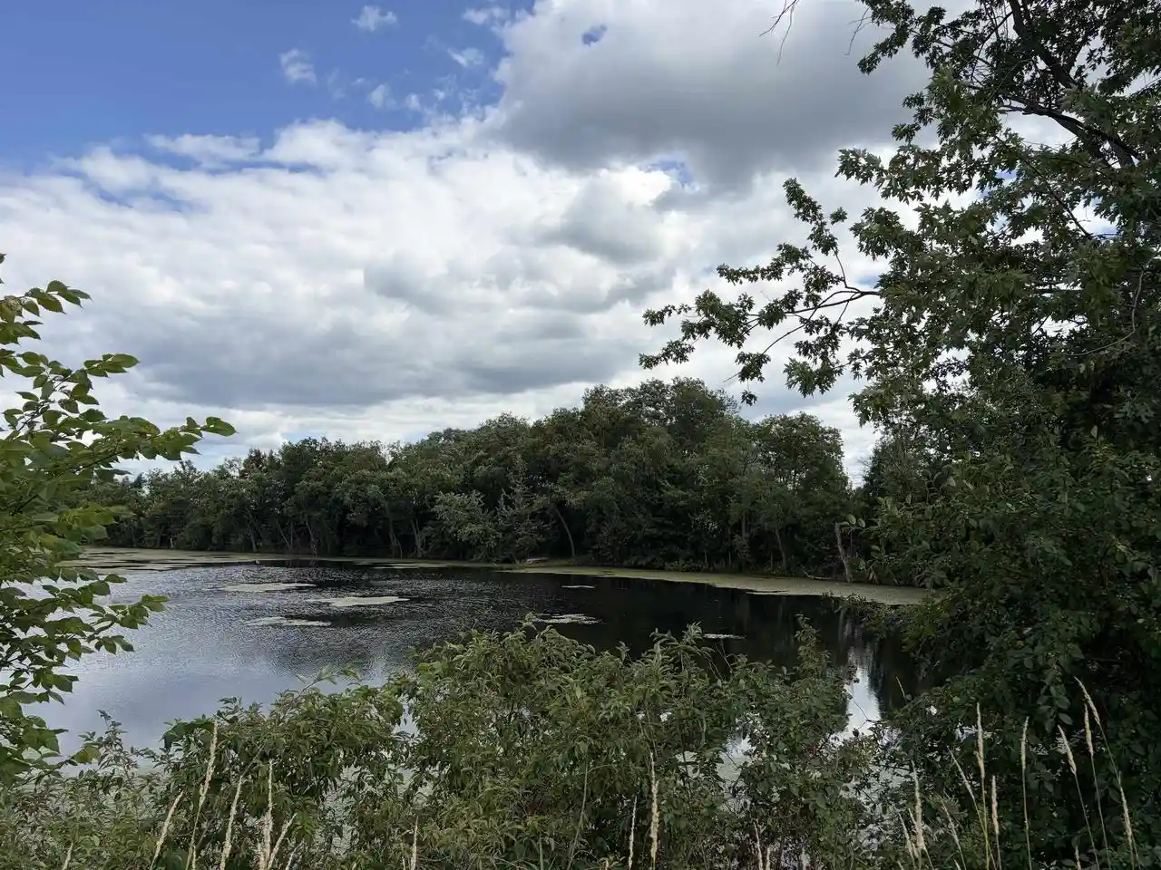 17th image of 201 Acres Hog Island Road Road, New Lisbon, WI 53950 | MLS# 2028801