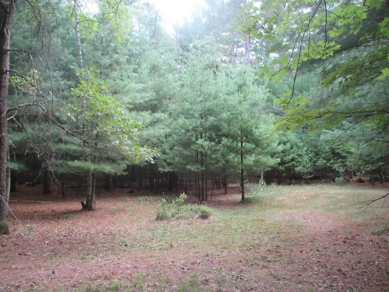 1st image of W5682 Meiller Road Road, Montello, WI 53949 | MLS# 2028809