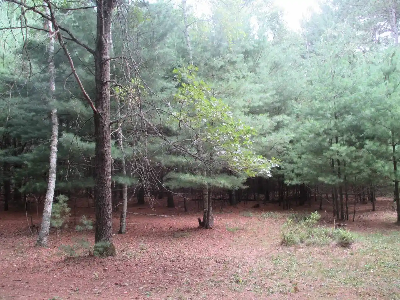 2nd image of W5682 Meiller Road Road, Montello, WI 53949 | MLS# 2028809