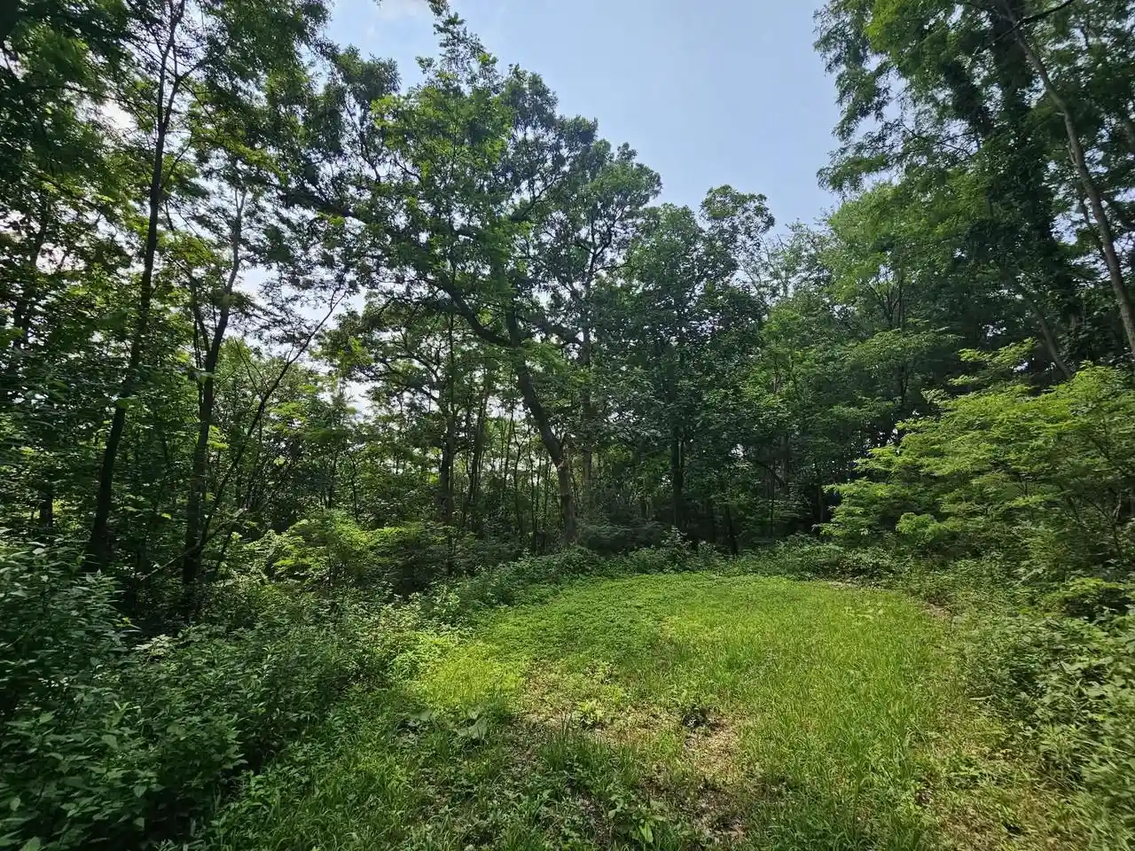 1st image of 65864 Chandler Road Road, De Soto, WI 54624 | MLS# 2028819