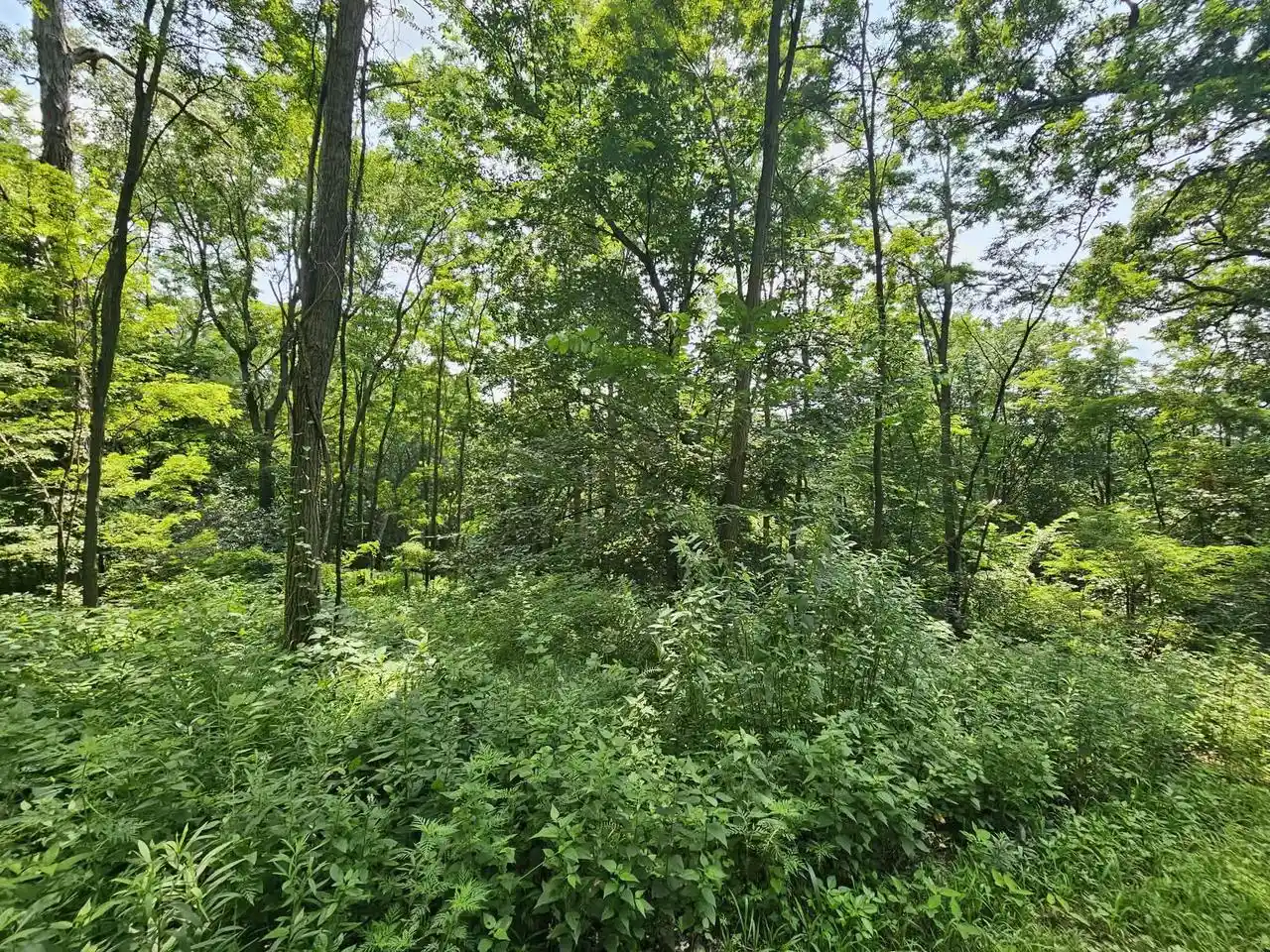 2nd image of 65864 Chandler Road Road, De Soto, WI 54624 | MLS# 2028819