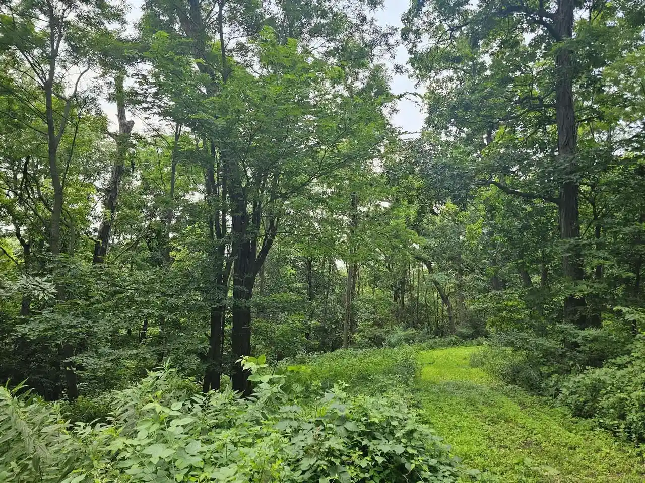 4th image of 65864 Chandler Road Road, De Soto, WI 54624 | MLS# 2028819