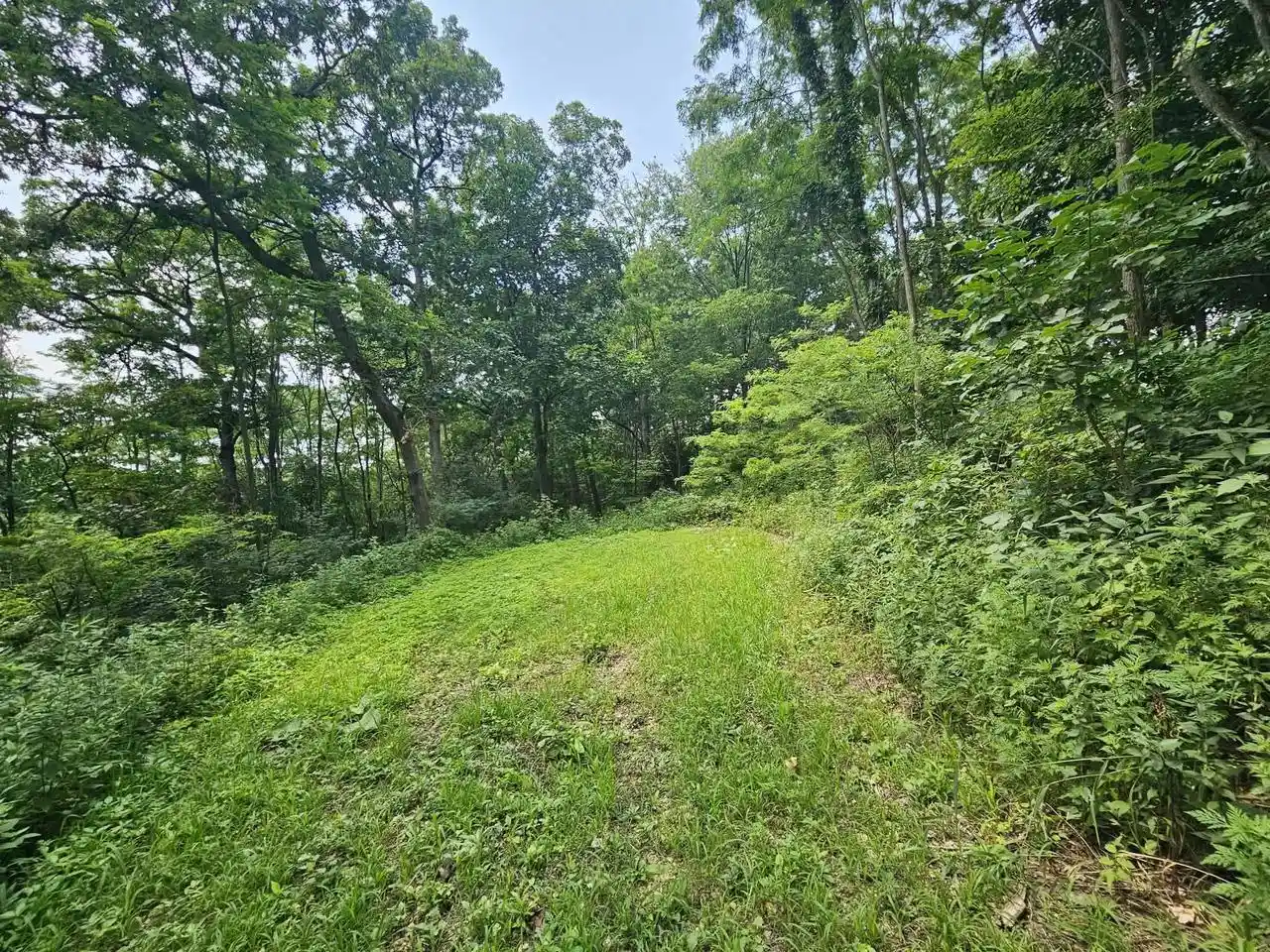 5th image of 65864 Chandler Road Road, De Soto, WI 54624 | MLS# 2028819