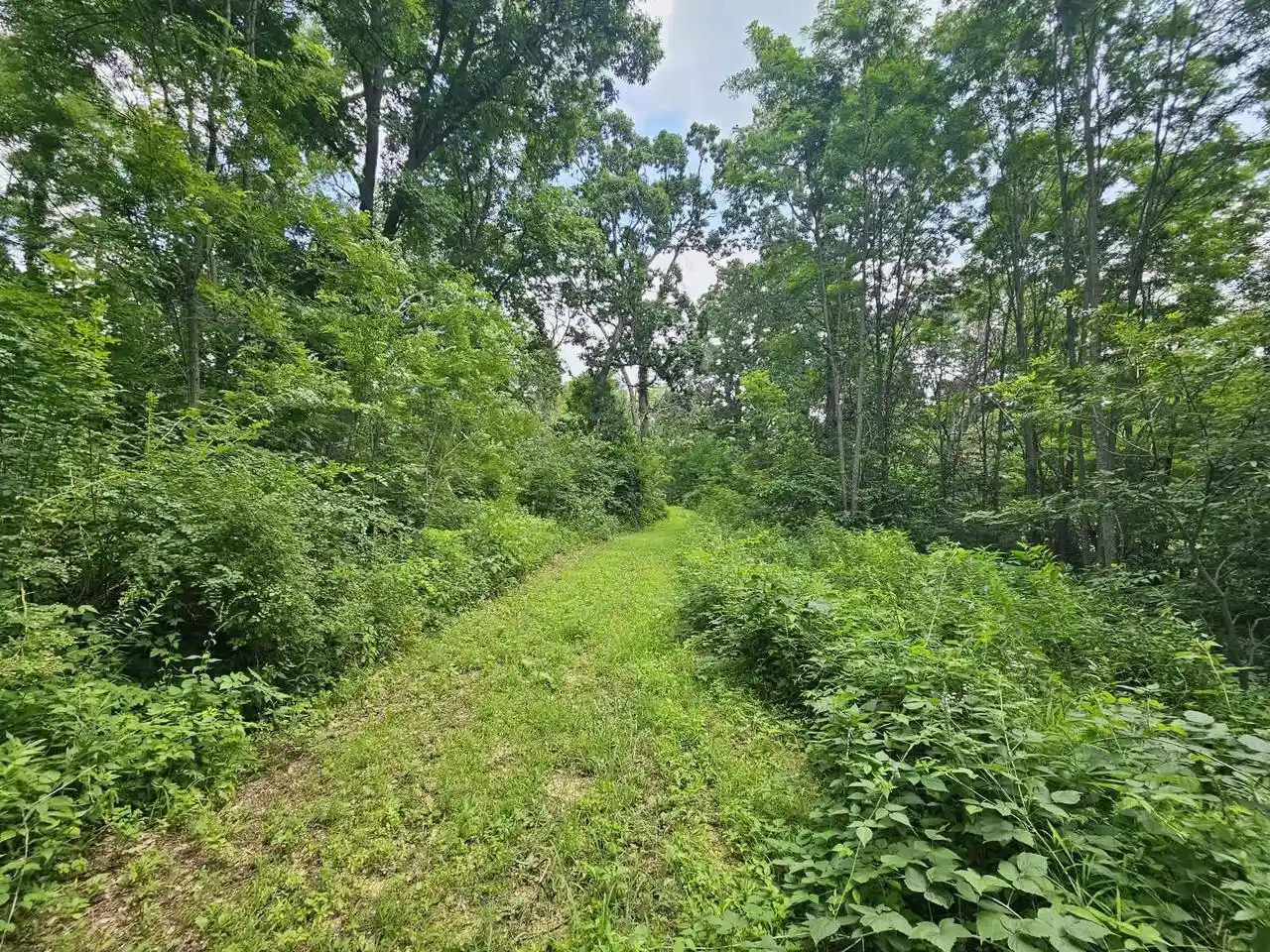 11th image of 65864 Chandler Road Road, De Soto, WI 54624 | MLS# 2028819