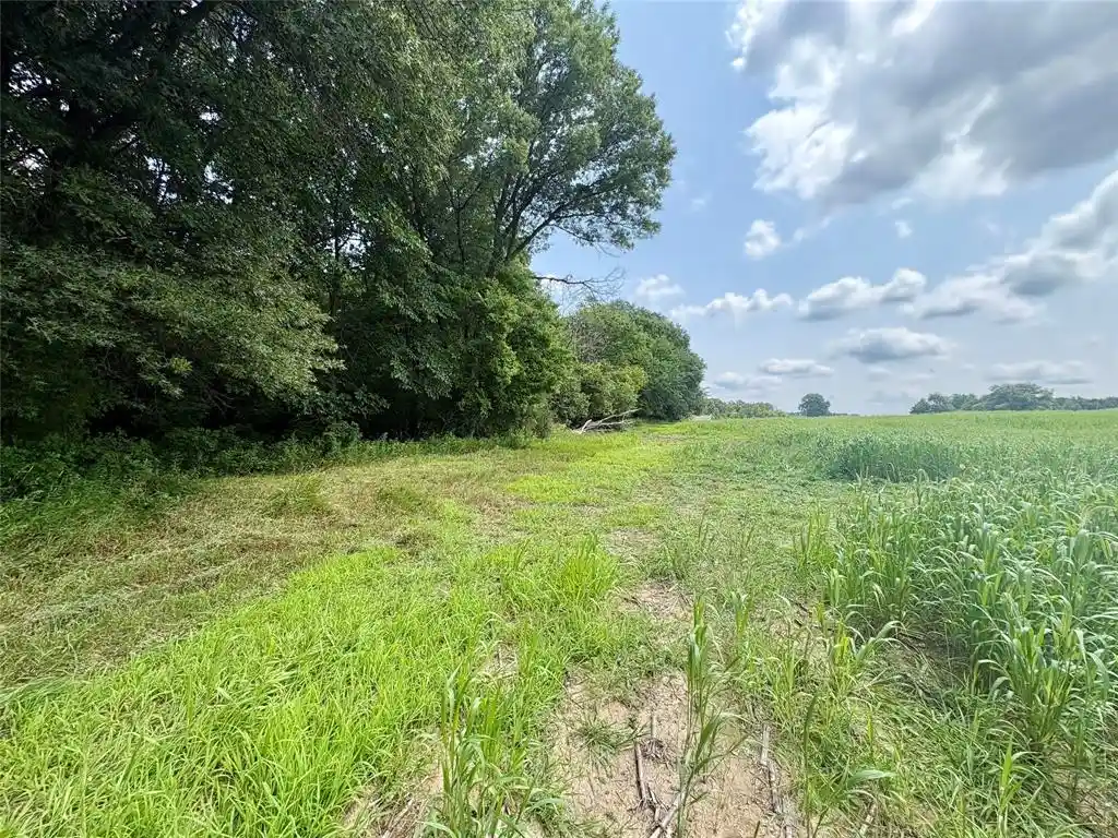 5th image of 000 160Th Ace, Maiden Rock, WI 54750 | MLS# 1603579