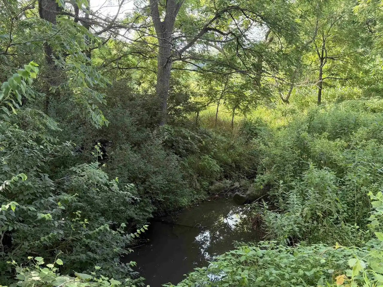 34th image of 40 Acres Highpoint Road Road, Monticello, WI 53570 | MLS# 2028826