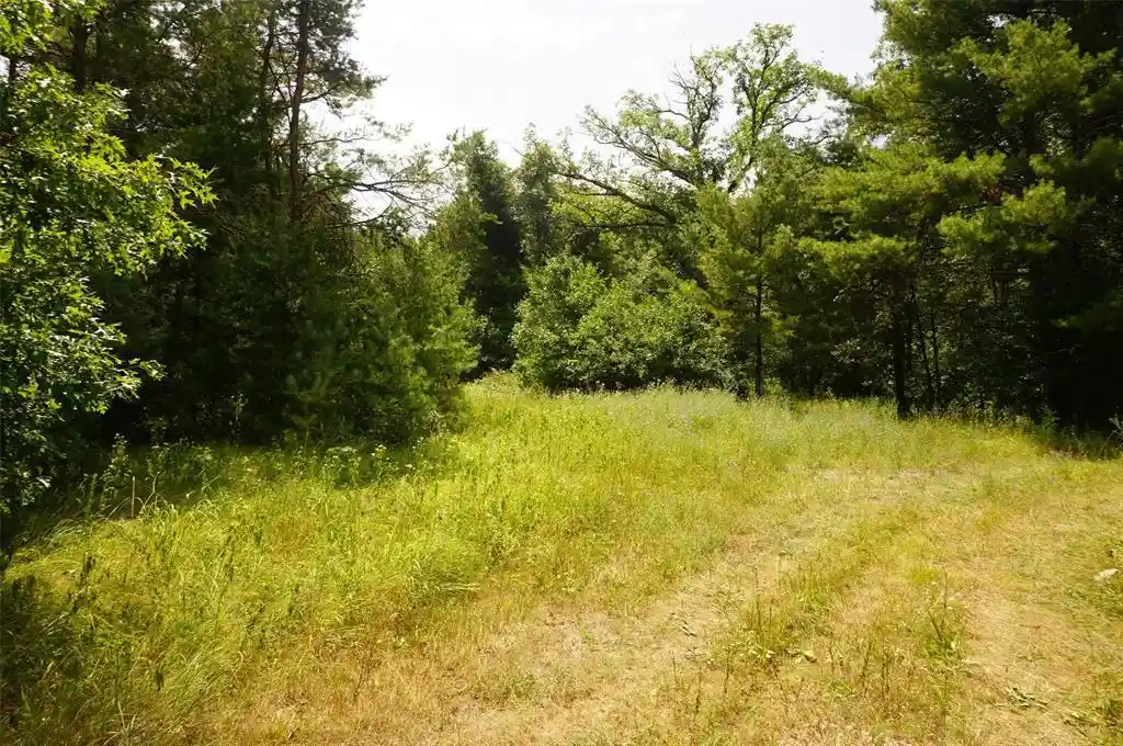 1st image of N9105 Flood Road Road, Black River Falls, WI 54615 | MLS# 1603584