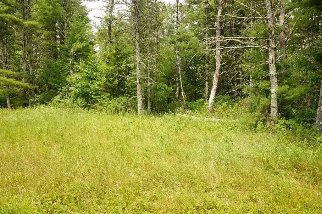 14th image of N9105 Flood Road Road, Black River Falls, WI 54615 | MLS# 1603584