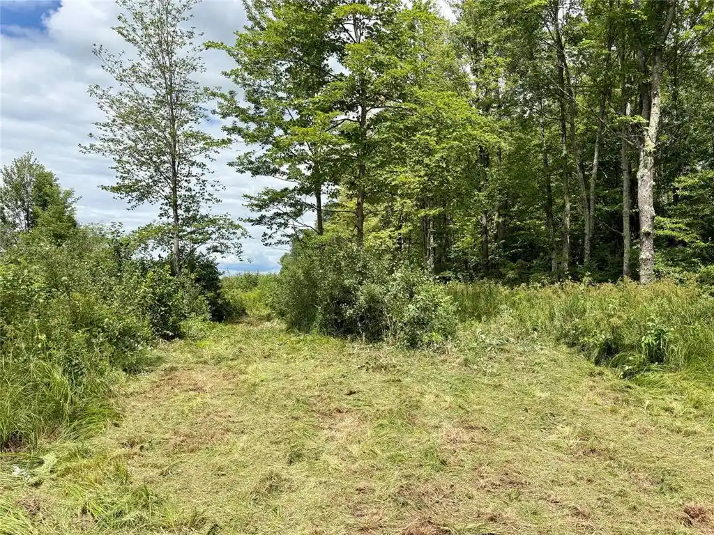 2nd image of 000 Girod Rd, Ladysmith, WI 54848 | MLS# 1603586