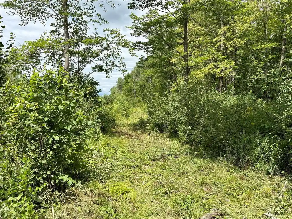 3rd image of 000 Girod Rd, Ladysmith, WI 54848 | MLS# 1603586