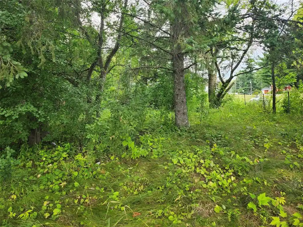 2nd image of Lot 4 & 5 Main St Street Street, Birchwood, WI 54817 | MLS# 1603574