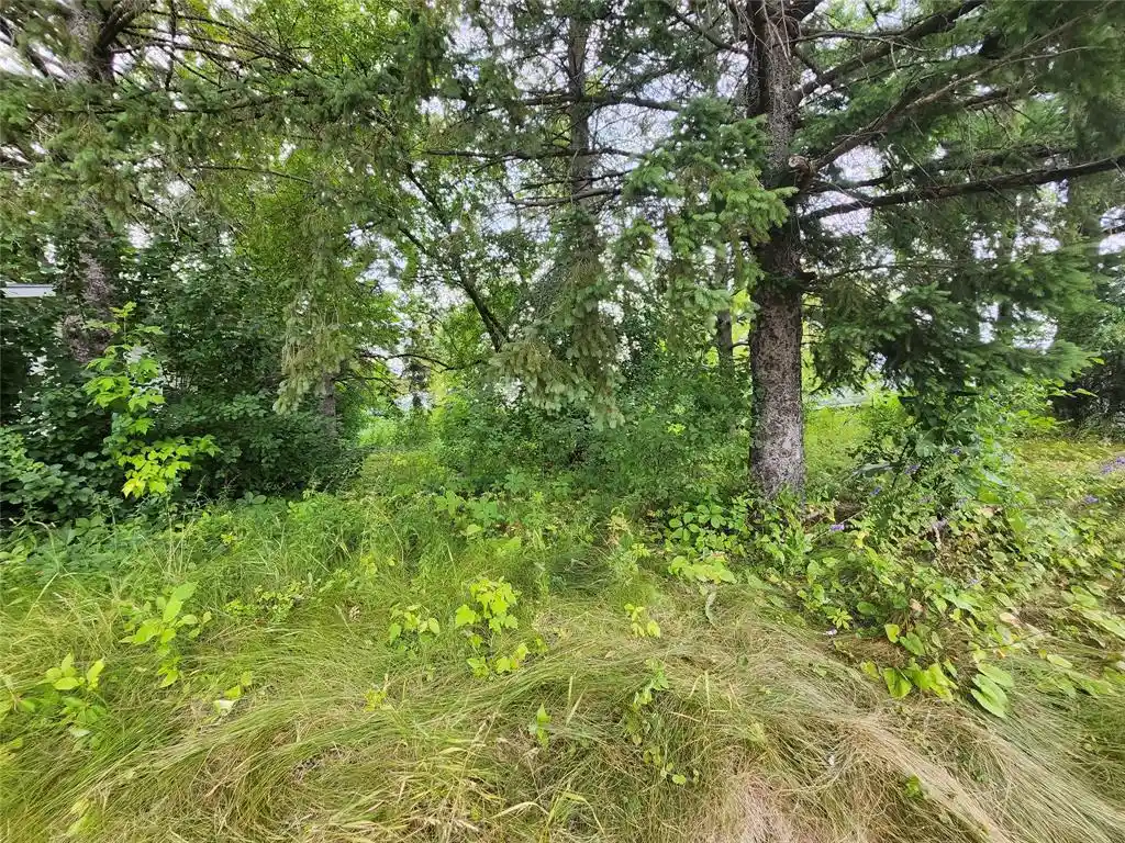 3rd image of Lot 4 & 5 Main St Street Street, Birchwood, WI 54817 | MLS# 1603574