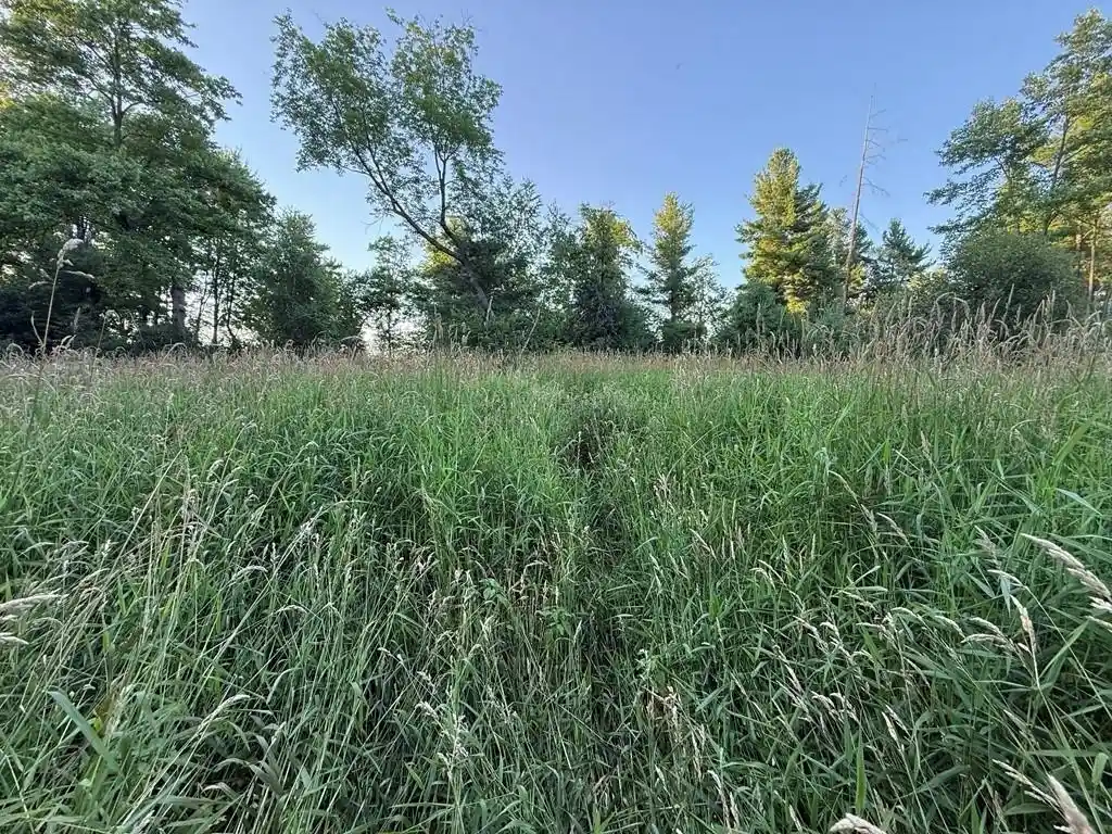 5th image of 0 Little Sweden Road, Osseo, WI 54758 | MLS# 1603192