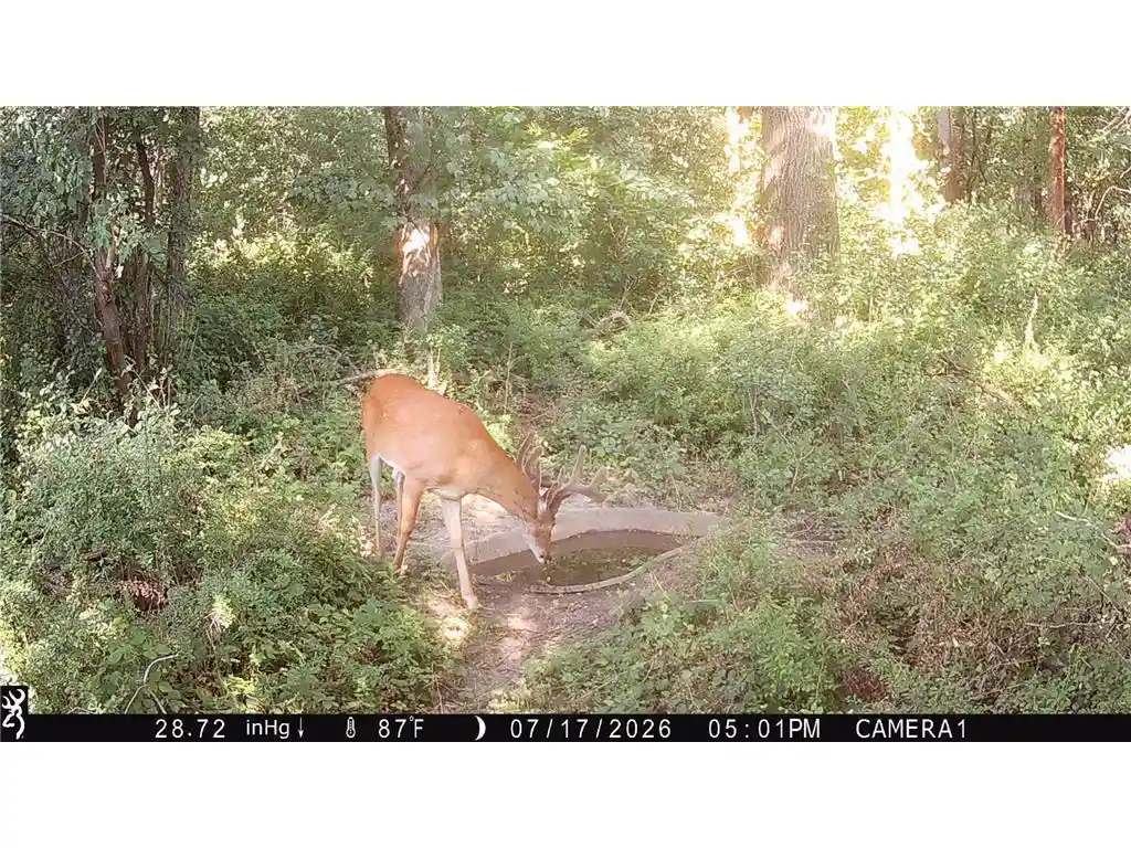 Photo 4 of Land for sale at Tbd 160Th Avenue Avenue, Maiden Rock, WI 54750 | MLS# 7116019 | Listing updated on 2026-08-21