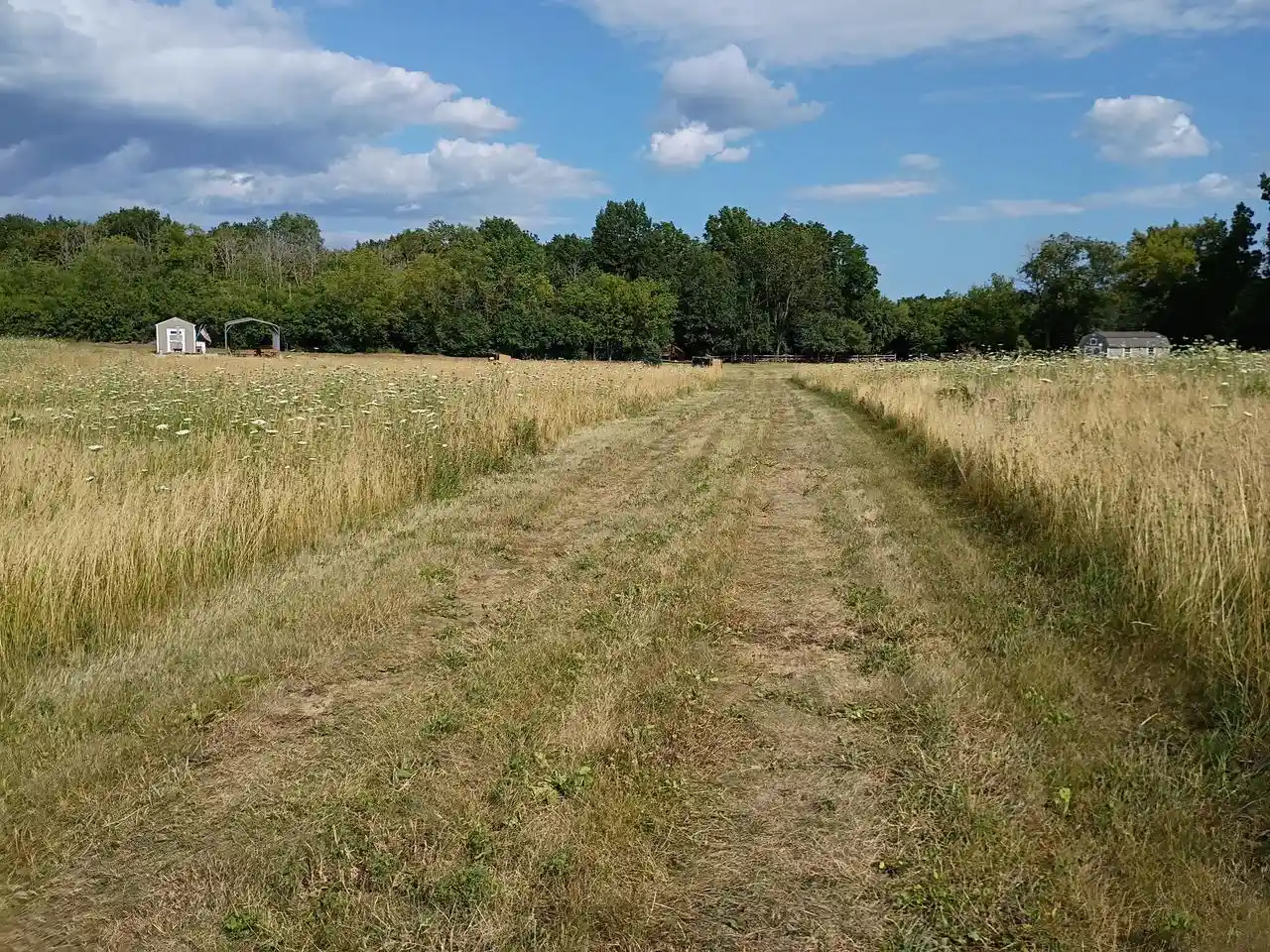 5th image of N4439 N Cedar Lane Road Road, Plymouth, WI 53073 | MLS# 1973349