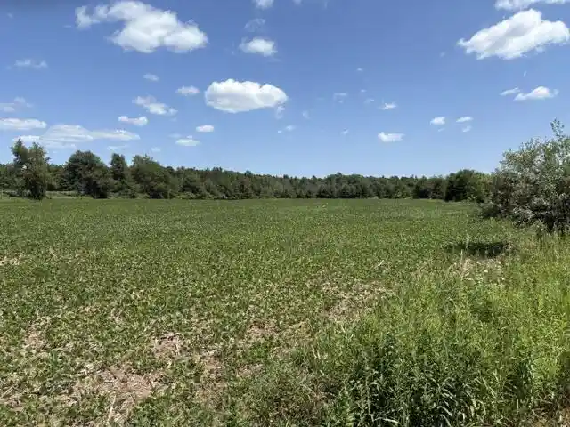 3rd image of N4890 N Schwalla Dr Dr, Porterfield, WI 54159 | MLS# 1973353