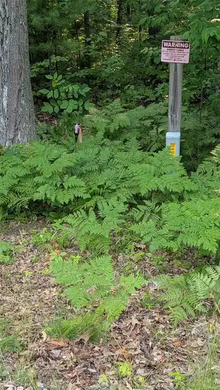 4th image of Lot 4 County Hwy Cc, Couderay, WI 54828 | MLS# 1603366