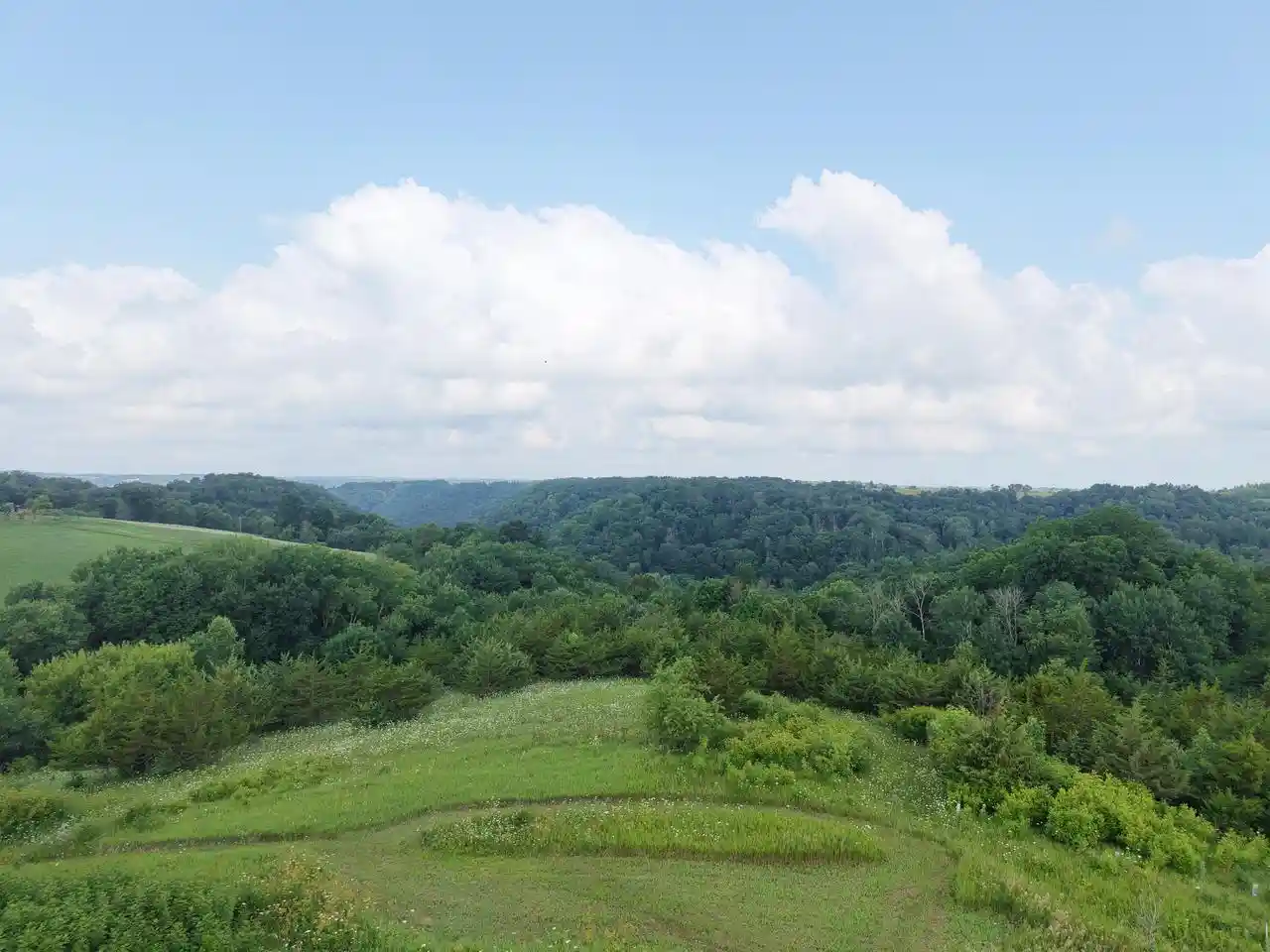 4th image of S5685 County Road Ss Road Road, Viola, WI 54664 | MLS# 1973385