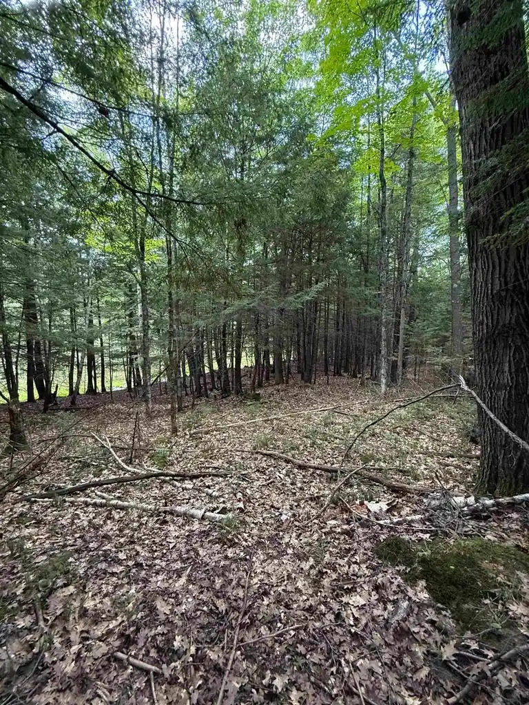Photo 1 of Land for sale at Deer Lane Lane, Pelican Lake, WI 54463 | MLS# 50329767 | Listing updated on 2026-07-29