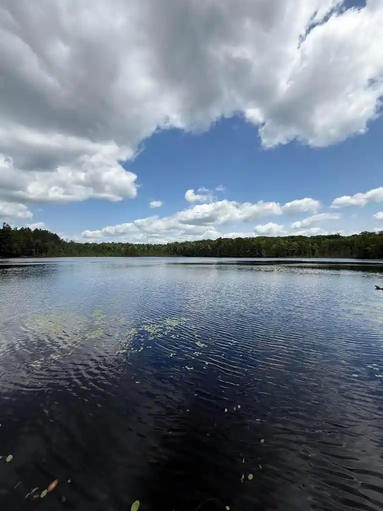 Photo 2 of Land for sale at Deer Lane Lane, Pelican Lake, WI 54463 | MLS# 50329767 | Listing updated on 2026-07-29