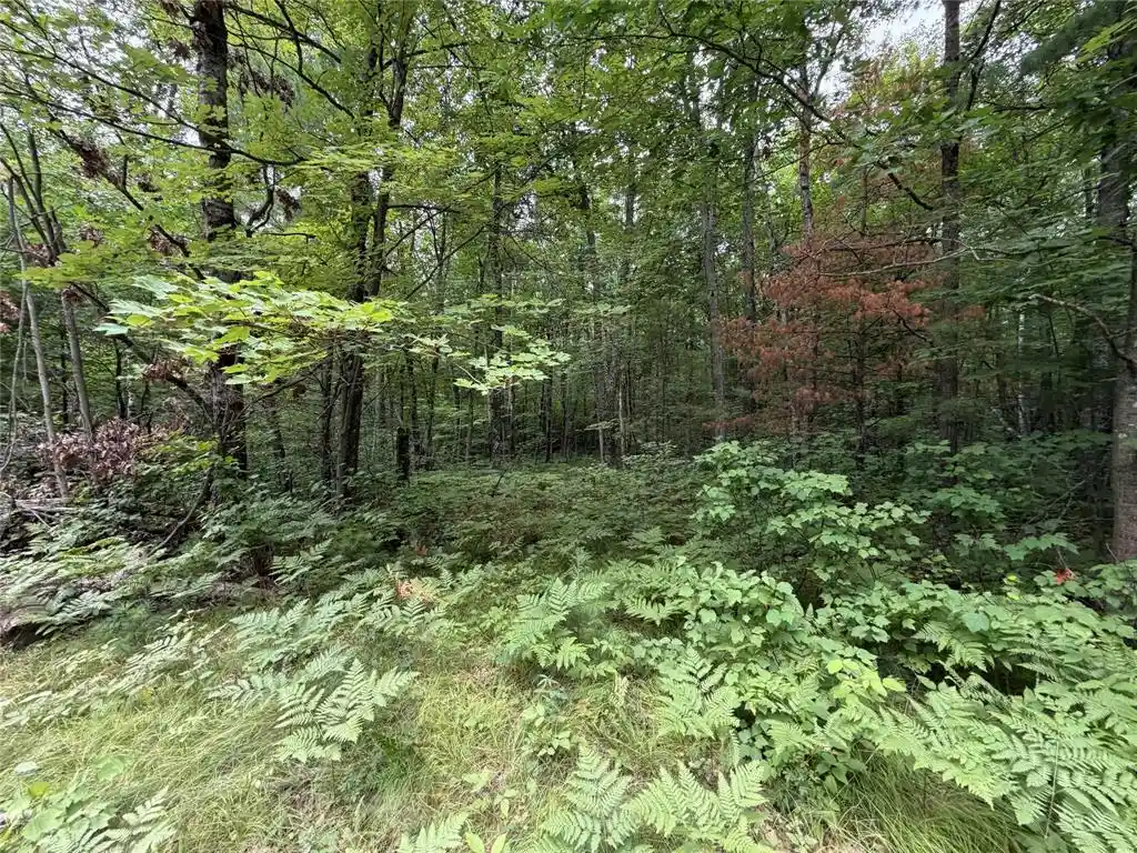 Photo 1 of Sale Pending at Lot 1 Nor Wis Road Road, Hayward, WI 54843 | MLS# 1603619 | Listing updated on 2026-09-28