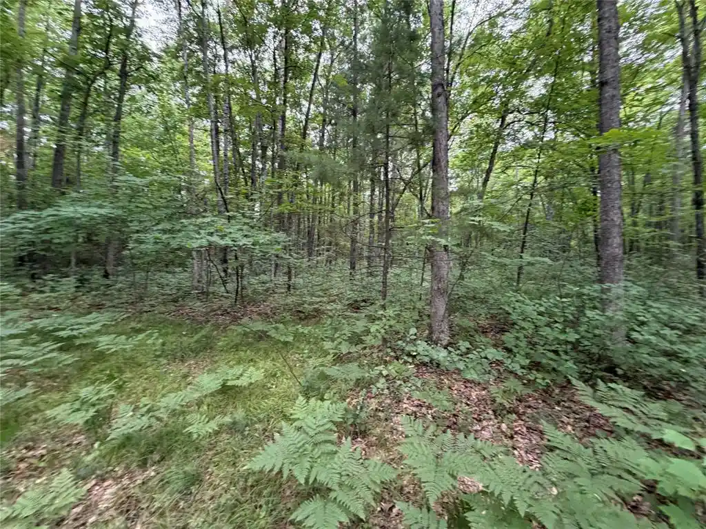 Photo 2 of Sale Pending at Lot 1 Nor Wis Road Road, Hayward, WI 54843 | MLS# 1603619 | Listing updated on 2026-09-28