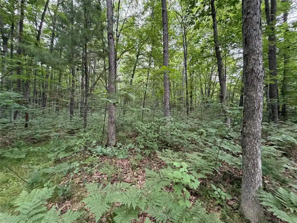 Photo 3 of Sale Pending at Lot 1 Nor Wis Road Road, Hayward, WI 54843 | MLS# 1603619 | Listing updated on 2026-09-28