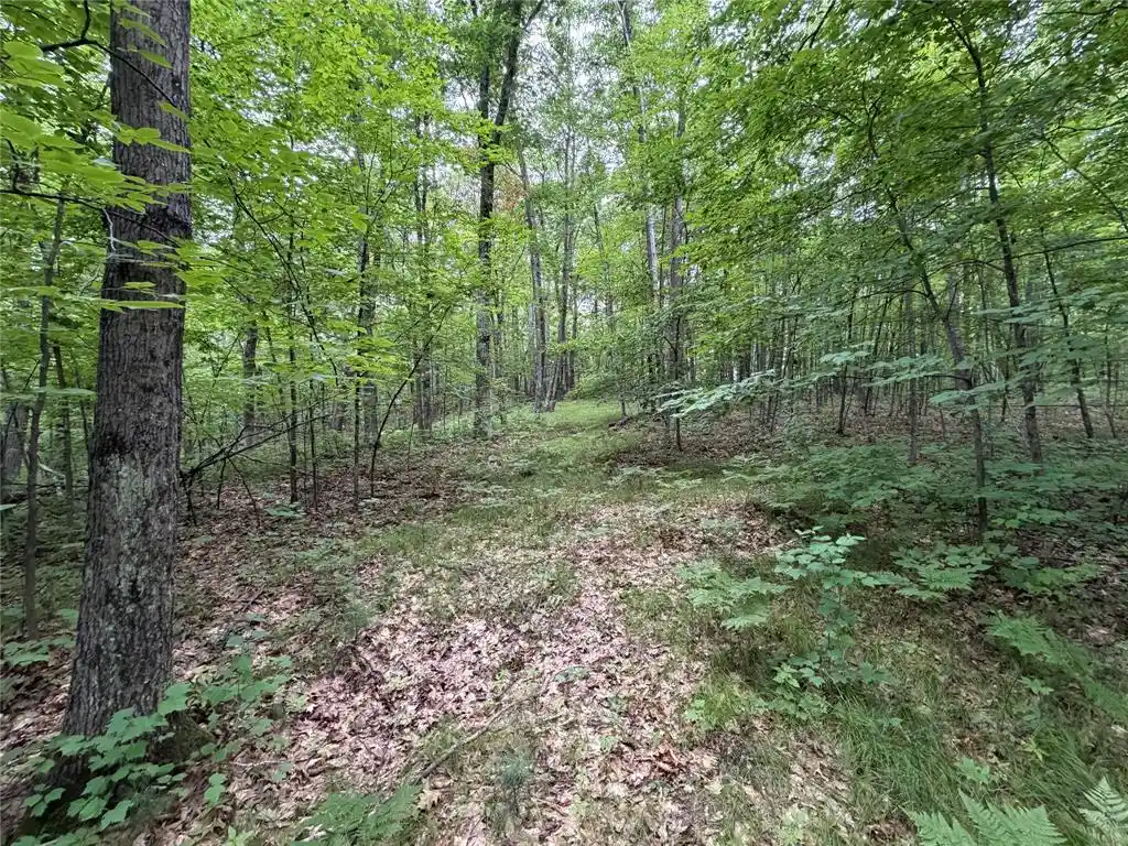 Photo 3 of Sale Pending at Lot 1 Nor Wis Road Road, Hayward, WI 54843 | MLS# 1603619 | Listing updated on 2026-09-28