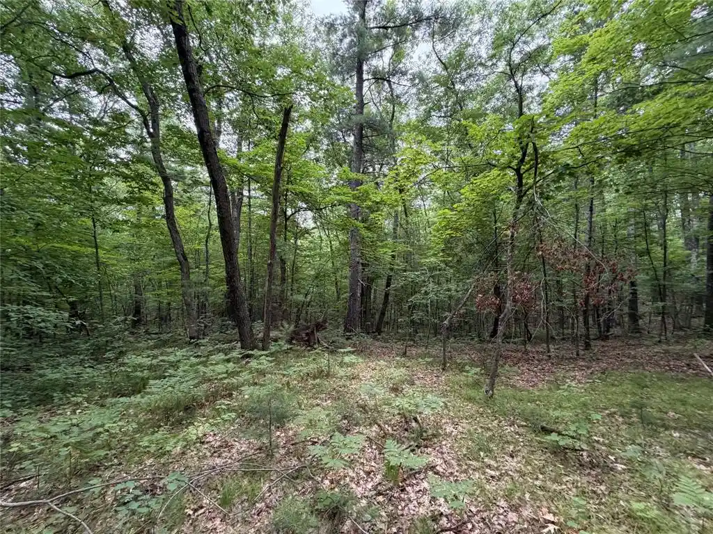 Photo 4 of Sale Pending at Lot 1 Nor Wis Road Road, Hayward, WI 54843 | MLS# 1603619 | Listing updated on 2026-09-28